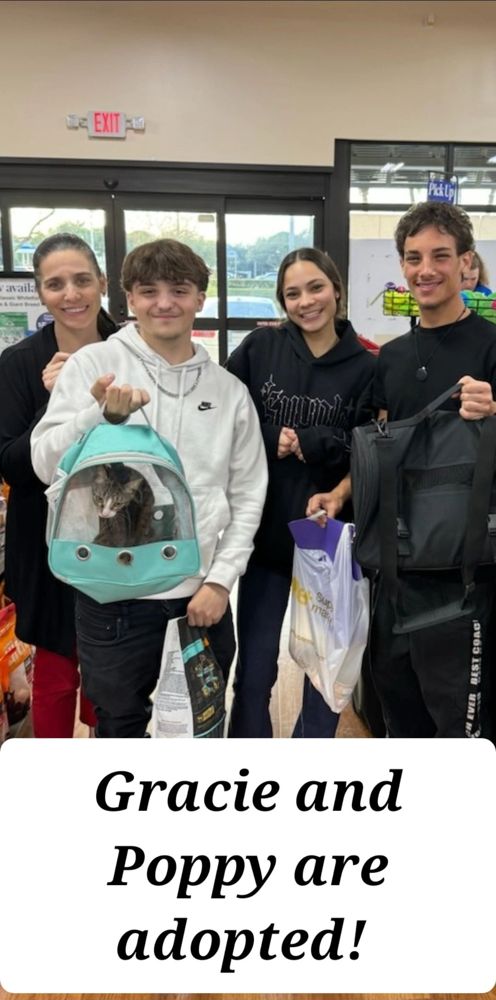 Gracie and Poppy - adopted